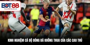 Cách cá độ bóng đá không thua