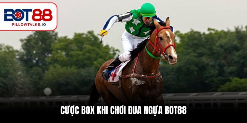 Đua Ngựa BOT88 - Lựa Chọn Hàng Đầu Của Mọi Cược Thủ 3 Cược Box khi chơi đua ngựa BOT88