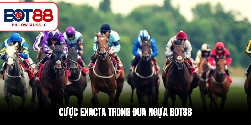 Đua Ngựa BOT88 - Lựa Chọn Hàng Đầu Của Mọi Cược Thủ 2 Cược Exacta trong đua ngựa BOT88